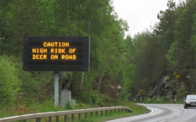 Shorter days increase deer risk on roads