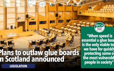 Plans to outlaw glue boards in Scotland announced