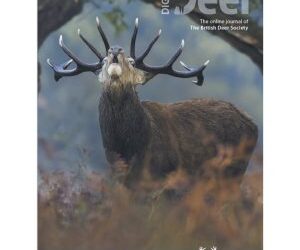 Reducing Deer Vehicle Collisions on Skye: How BDS Volunteers Are Driving Real Change