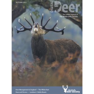 Reducing Deer Vehicle Collisions on Skye: How BDS Volunteers Are Driving Real Change